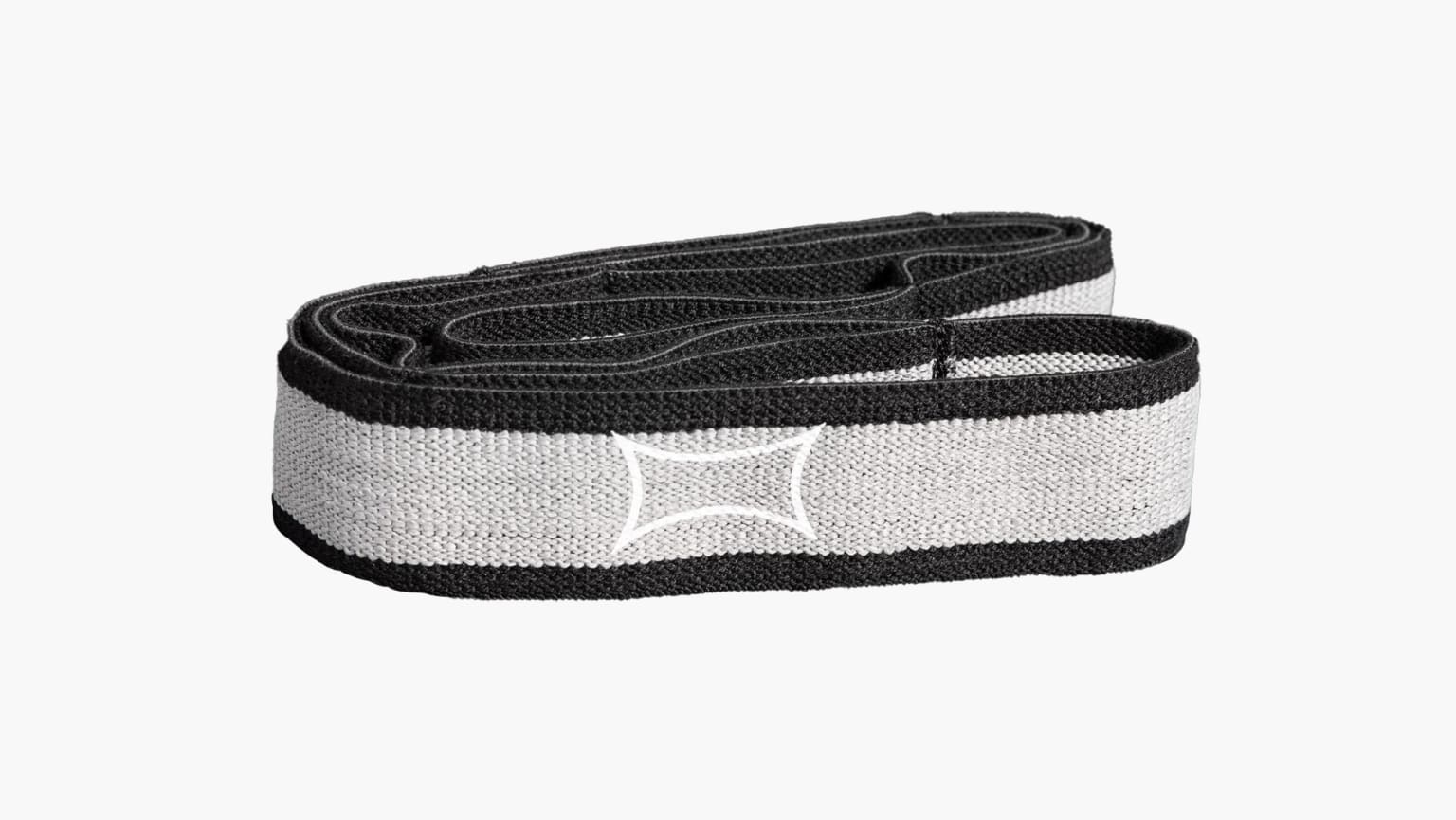 Sling Shot Infinity Loop Rogue Fitness Canada